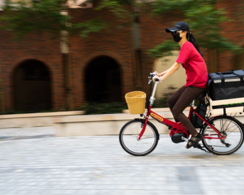 Delivery ebike